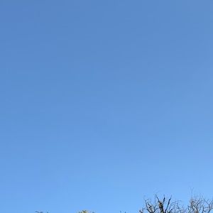 Meet your Posher, Kalindi